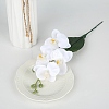 Plastic Artificial Daisy Flowers Bundles PW23051002980-1