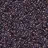 MIYUKI Round Rocailles Beads X-SEED-G007-RR3206-3