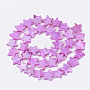 Freshwater Shell Beads Strands SHEL-S276-51-3