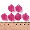 Transparent Frosted Acrylic Pendants MACR-S371-01A-706-4