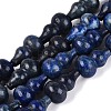 Natural Lapis Lazuli Beads Strands G-C039-A06-2