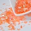 Plastic Candy Sequins/Paillette Chip DIY-I019-01F-1