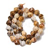 Natural Crazy Agate Beads Strands G-Z119-A13-03-5