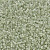 MIYUKI Delica Beads X-SEED-J020-DB1765-3