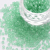 8/0 Transparent Glass Seed Beads SEED-S048-H-011-1