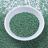 MIYUKI Delica Beads SEED-X0054-DB0426-2