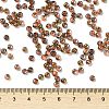 Glass Seed Beads SEED-H002-B-D204-4