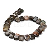 Natural Wealth Stone Beads Strands G-C285-A09-01-4