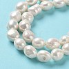 Natural Cultured Freshwater Pearl Beads Strands PEAR-Z002-04-4