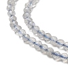 Natural Labradorite Beads Strands G-RM241221-A10-3