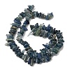 Natural Kyanite/Cyanite/Disthene Chip Beads Strands G-E271-78-6
