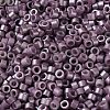 Baking Paint Glass Seed Beads X-SEED-S042-15A-14-3
