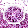 6/0 Glass Seed Beads SEED-US0003-4mm-150-1