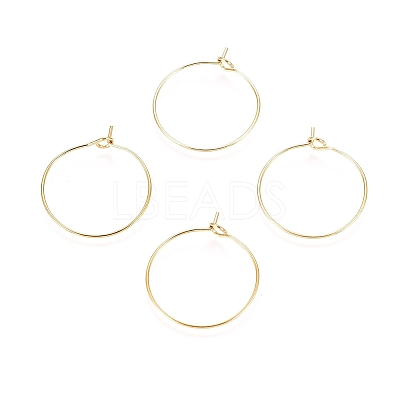 Ion Plating(IP) 316L Surgical Stainless Steel Hoop Earring Findings X-STAS-D164-02G-A-1