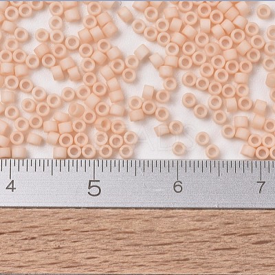 MIYUKI Delica Beads X-SEED-J020-DB1512-1
