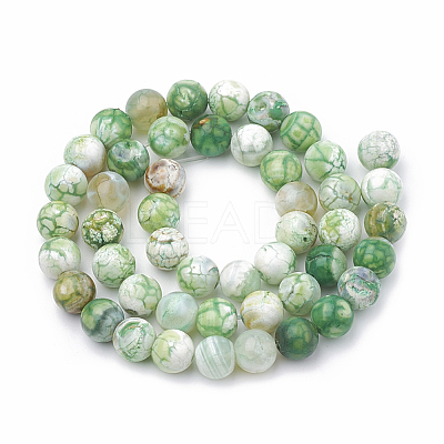 Dyed Natural Crackle Agate Beads Strands G-T100-03E-1