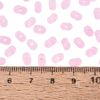 FGB Frosted Transparent Glass Seed Beads SEED-N013-06A-05-1