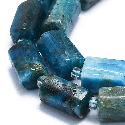 Natural Blue Apatite Beads Strands G-K245-I07-01-1