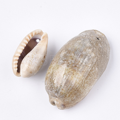Cowrie Shell Pendants SSHEL-T008-27-1