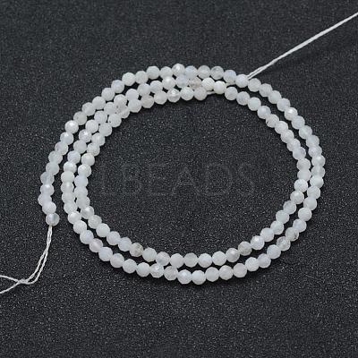 Natural Rainbow Moonstone Beads Strands G-E411-08-3mm-1