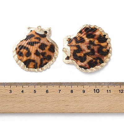 Natural Sea Shell Pendants SSHEL-B002-02G-02-1