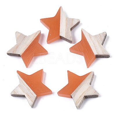 Resin & Wood Cabochons LS-RESI-R425-02G-1