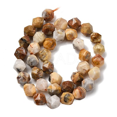 Natural Crazy Agate Beads Strands G-Z119-A13-03-1