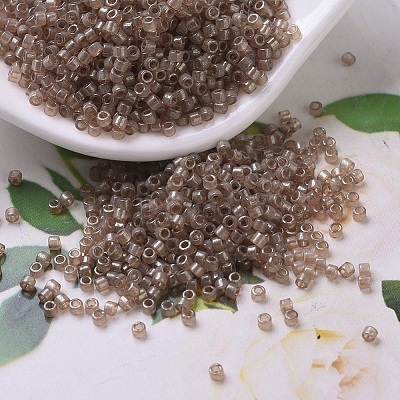 MIYUKI Delica Beads X-SEED-J020-DB0102-1