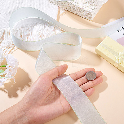 Polyester Organza Ribbon TAC0006-01C-1