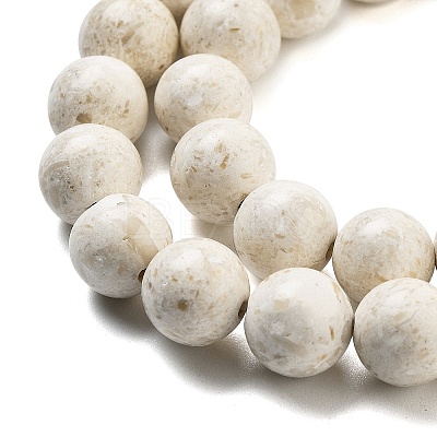 Natural Fossil Beads Strands G-H026-02A-1