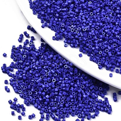 FGB 11/0 Grade A Glass Seed Beads SEED-S030-1024-1