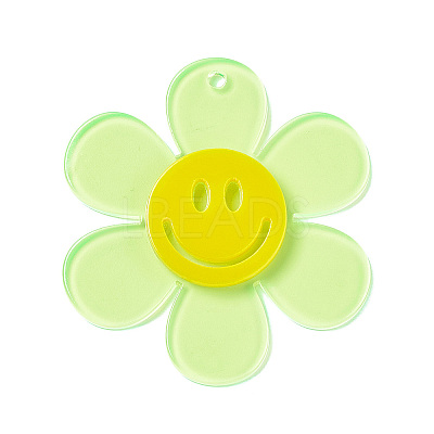 Transparent Acrylic Big Pendants LS-OACR-P012-A04-1