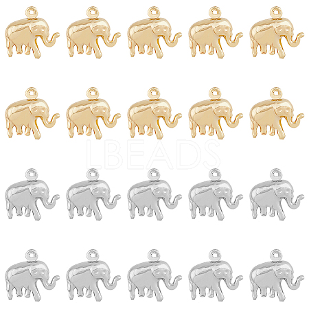 HOBBIESAY 20Pcs 2 Color Brass Charms KK-HY0001-42-1