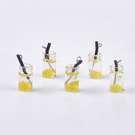 Glass Bottle Pendants CRES-N017-06D-1