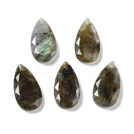 Natural Labradorite Faceted Pendants G-D082-01B-1