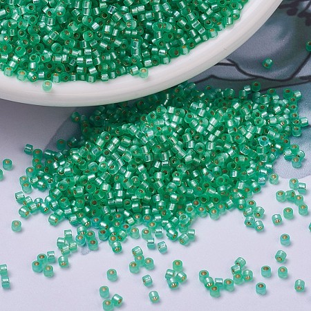 MIYUKI Delica Beads SEED-X0054-DB0691-1