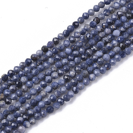 Natural Sapphire Beads Strands G-S361-2mm-009-1