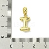 Rack Plating Brass with ABS Plastic Pearl European Dangle Charms KK-G501-02I-G-3
