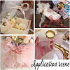 Polyester Organza Ribbons SRIB-WH20020-003A-04-5