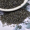 MIYUKI Delica Beads SEED-X0054-DB1773-1