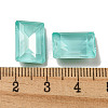 Glass Rhinestone Cabochons RGLA-G021-01D-361DE-3