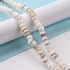 Natural Cultured Freshwater Shell Beads Strands SHEL-F002-01D-2