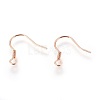304 Stainless Steel Earrings Hooks STAS-P227-06RG-2