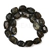 Natural Labradorite Beads Strands G-F796-C10-01-3