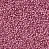 MIYUKI Round Rocailles Beads SEED-JP0009-RR0556-4