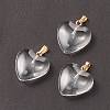 Spray Painted Glass Pendants GLAA-N035-016-A03-2