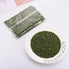 Glass Bugle Beads SEED-S032-08A-55A-2