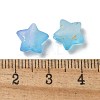 Frosted Acrylic Charms OACR-M023-04F-3