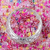 6/0 Glass Seed Beads SEED-R051-02C-05-3