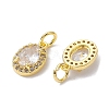 Brass Micro Pave Clear Cubic Zirconia Charms KK-K360-17G-2